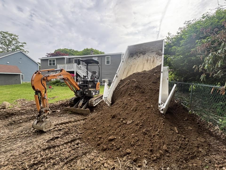 Invasive Knotweed Removal